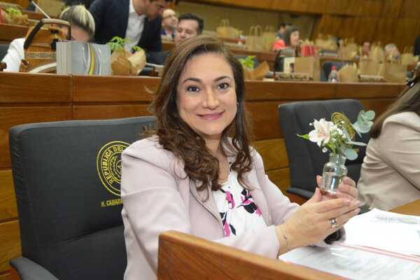 Rocío Abed niega cualquier involucramiento en la crisis del IPS