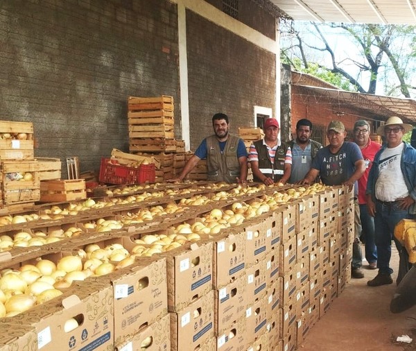 SENAVE CERTIFICÓ PRODUCCIÓN DE CEBOLLA DEL SEÑOR CIRILO ACUÑA EN LA COLMENA
