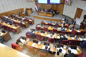 Himno en escuelas una vez por semana, aprobado tras largo de debate y karaoke en Senado