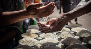 La FAO registra disminución en los precios mundiales de alimentos