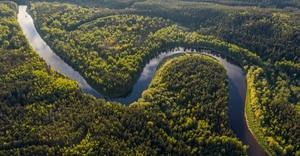 CAF invertirá USD 2.000 millones para proteger la Amazonía