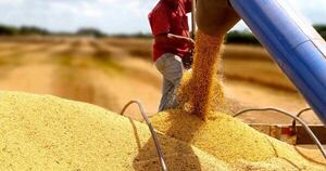 Soja: La meta es lograr una buena cosecha para hacer frente a la caída de los precios