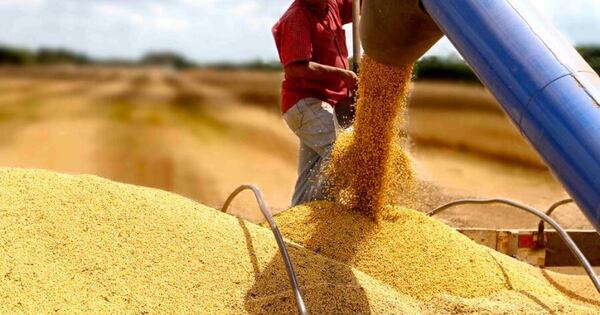 Soja: La meta es lograr una buena cosecha para hacer frente a la caída de los precios