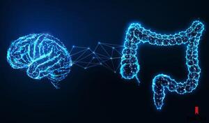 Intestino y cerebro | Pausa