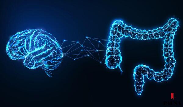 Intestino y cerebro | Pausa