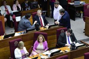 En el Senado, aprueban crédito para hospital  en Santaní - Política - ABC Color