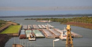 Paraguay logró ingresar en tres nuevos mercados en el primer semestre de 2024