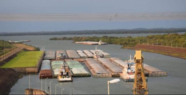 Paraguay logró ingresar en tres nuevos mercados en el primer semestre de 2024