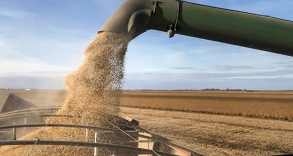 El 75% de las divisas ingresadas provienen de productos y manufacturas agropecuarias