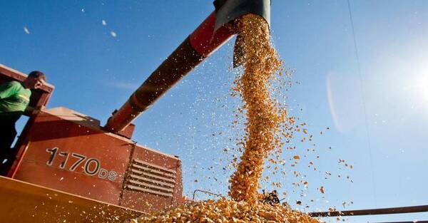 Exportaciones agropecuarias cierran el trimestre con tendencia positiva