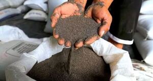 Exportaciones del sector Mipymes sumaron más de USD 270 millones en el 2023
