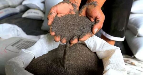 Exportaciones del sector Mipymes sumaron más de USD 270 millones en el 2023