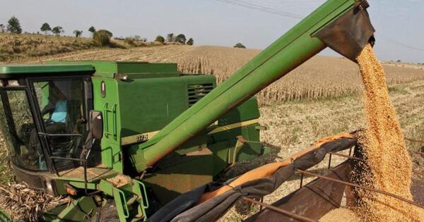 Comportamiento climático creó distintos escenarios para la producción agrícola