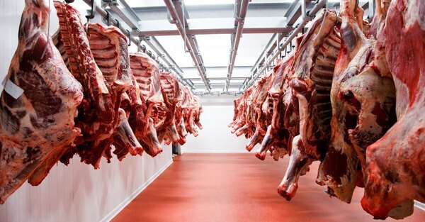 Siete frigoríficos están habilitados para exportar carne bovina a Arabia Saudita