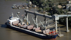Exportaciones de origen agropecuario aumentaron 239,5% en enero