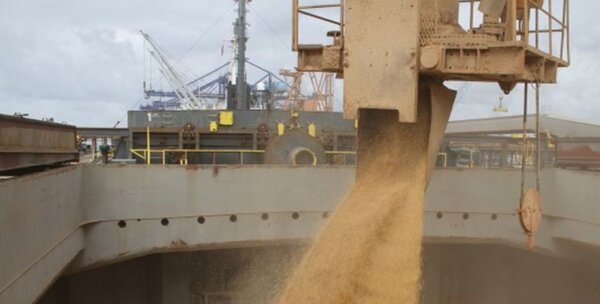 Exportaciones agropecuarias crecieron sensiblemente en 2023
