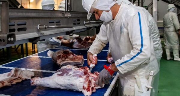 Exportación de carne porcina a Taiwán creció 541% en 2023