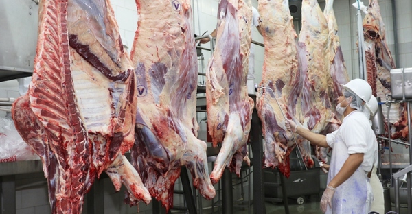 Paraguay exportó 182.000 toneladas de carne bovina