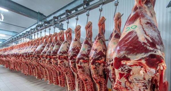 Paraguay exportó más de 250.000 toneladas de carne bovina en lo que va del año