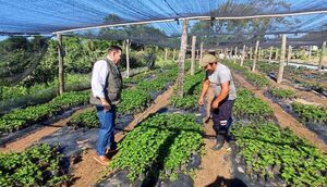 La economía creció 3,8% al cierre de marzo impulsada por la agricultura