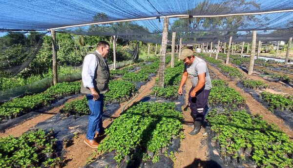 La economía creció 3,8% al cierre de marzo impulsada por la agricultura