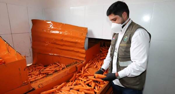 Productores paraguayos exportaron zanahoria por primera vez a Argentina