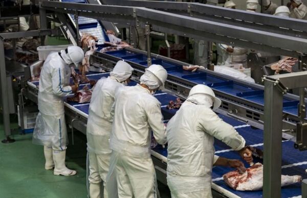 Industria porcina crece y anuncia la creación de la Cámara
