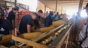 Organizaron día de campo en Boquerón