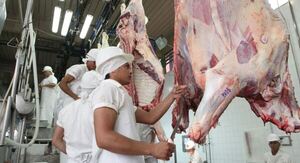 Exportación de carne bovina registró USD 1.075 millones