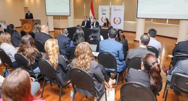 Validan perfil profesional para el Registro de Consultores Empresariales de Mipymes