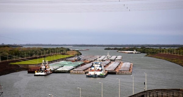 Exportaciones agrícolas incentivan la inversión privada en el país