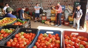 Monitoreo del Sistema de trazabilidad vegetal busca fortalecer la producción nacional
