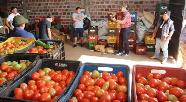 Monitoreo del Sistema de trazabilidad vegetal busca fortalecer la producción nacional
