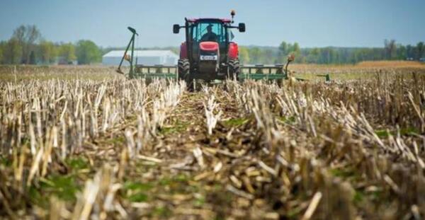 Productores se preparan para una nueva campaña agrícola