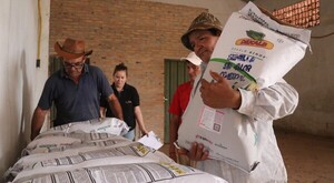 INDERT y UGP entregan 700 bolsas de semillas de maíz a familias campesinas