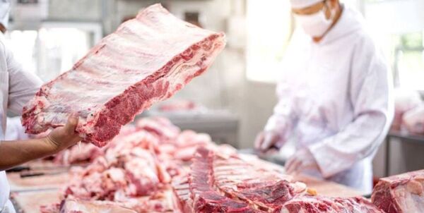 Actualizarán legislación de faena y comercialización de carne