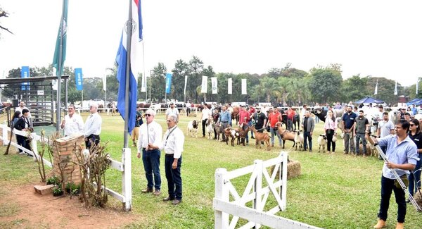 En la Expo Ganadera resaltan calidad de los animales y trabajo de los productores