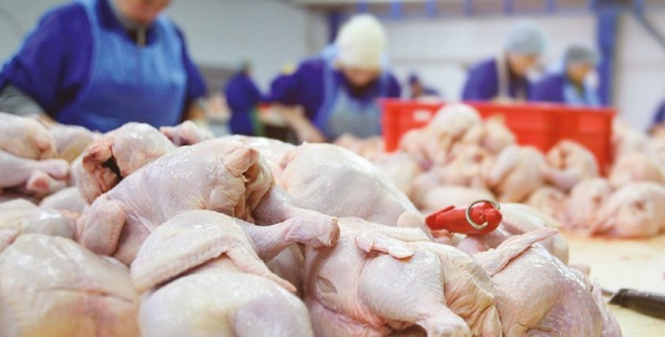 Brasil solicita apertura permanente a México para sus exportaciones de carne de pollo