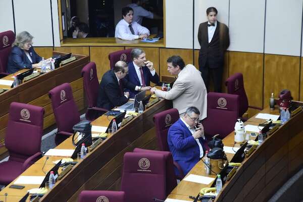 Aplanadora cartista se impuso y fijó fechas para tratar ley de Carrera Civil y el RUN - Política - ABC Color