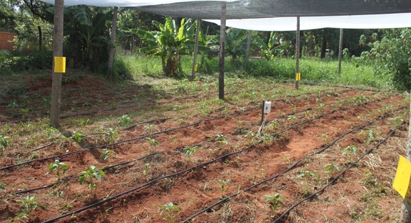 Convocan a participar de talleres prácticos gratuitos sobre tecnologías emergentes en la agricultura agroecológica