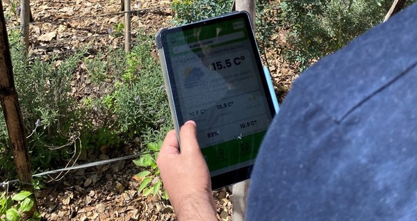 AgroArandu es la nueva aplicación que busca mejorar la gestión de los pequeños productores