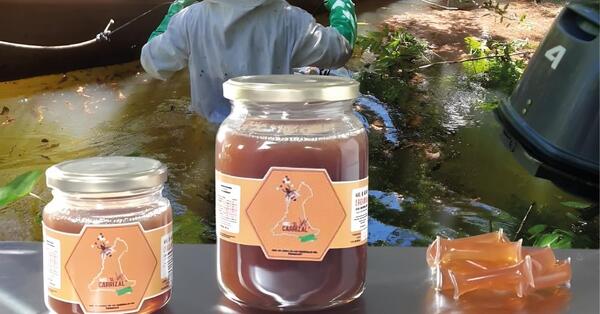 La Miel de los Humedales de Ñeembucú fue seleccionada para potenciar su valor como Indicación Geográfica de Paraguay