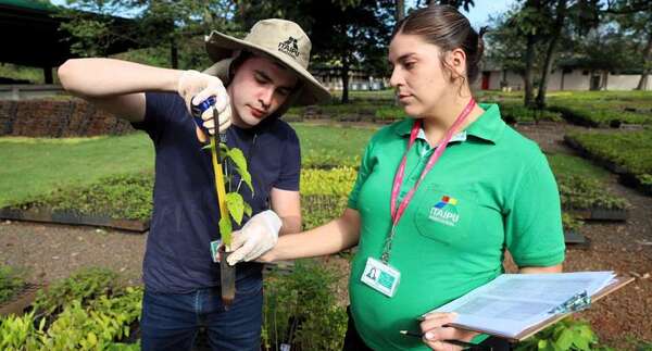 Vivero de Itaipu impulsa investigación para mejorar calidad de plantines
