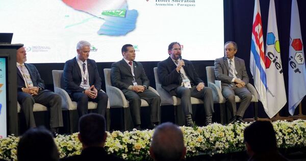 Se desarrolló una jornada de integración energética entre Paraguay y Brasil