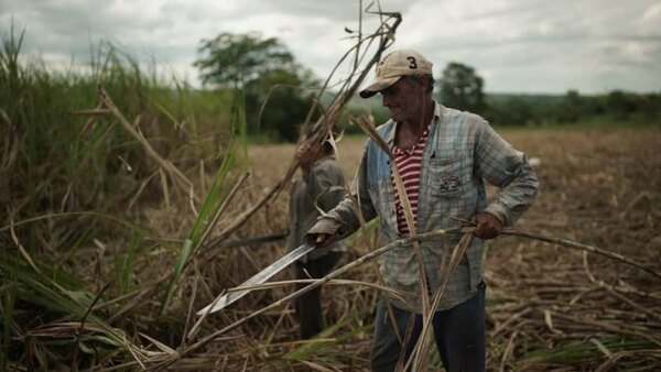 Petropar concreta la compra de alcohol absoluto