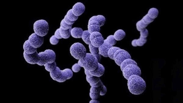 Salud confirma infección y muerte de niña por bacteria
