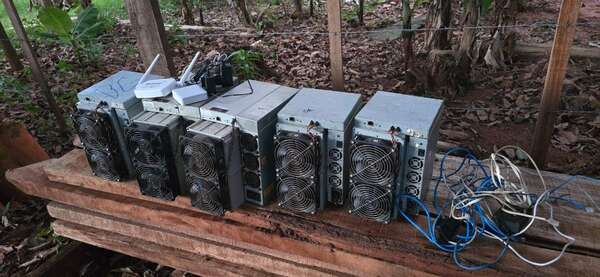 Intervienen granja ilegal dedicada a la criptominería en Caaguazú - Noticiero Paraguay