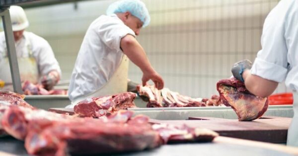 Técnicos de Taiwán inspeccionarán a frigoríficos paraguayos
