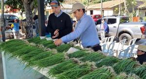 Yacyretá entrega plantines de cebolla en Ñeembucú y Misiones