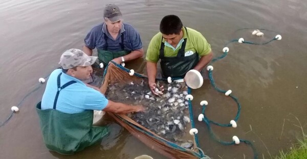 Impulsan proyecto de cría de peces en estanque en distritos de Ñeembucú